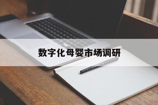 克拉玛依市数字化母婴市场调研(数字化母婴市场调研报告)